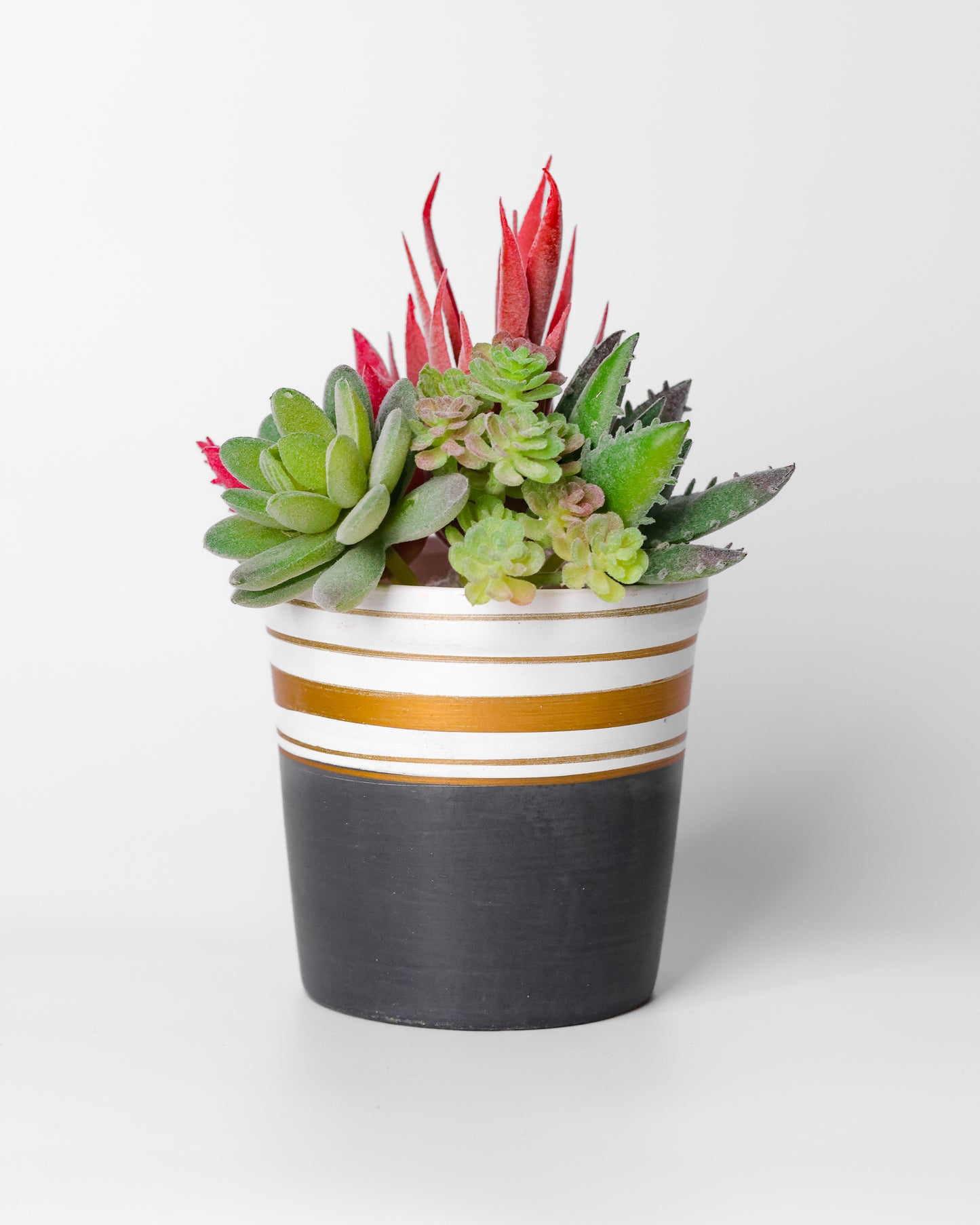 Ivory Orbit Ceramic Pot