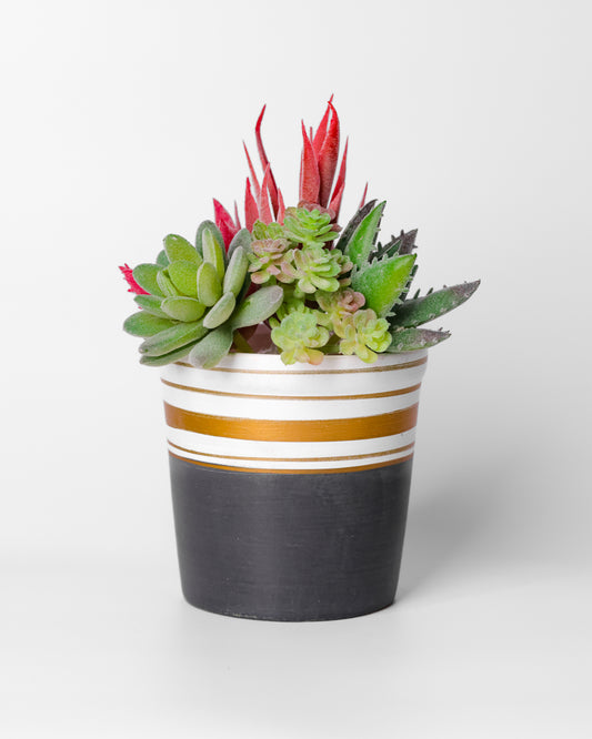 Ivory Orbit Ceramic Pot