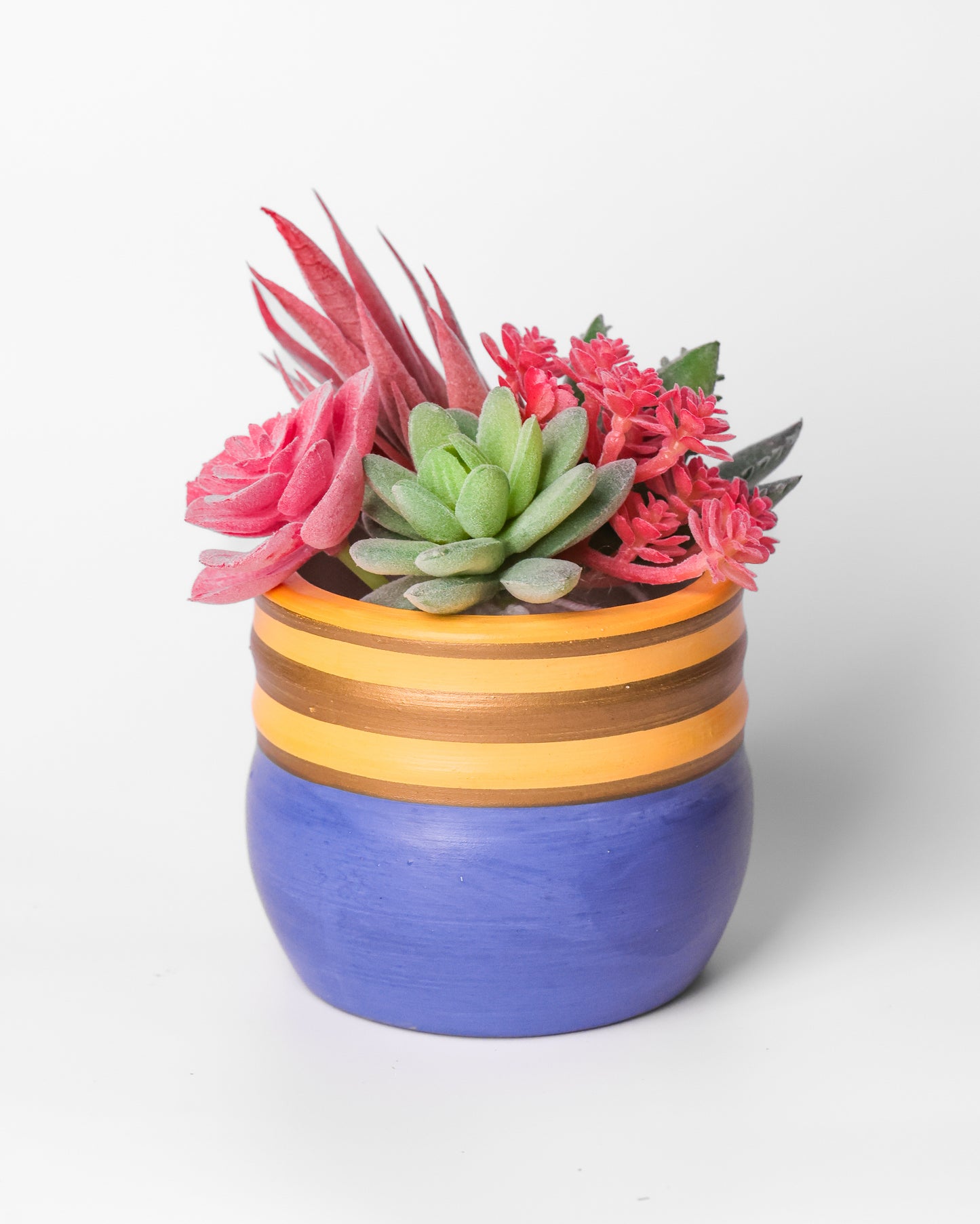 Pink Golden Streak Pot
